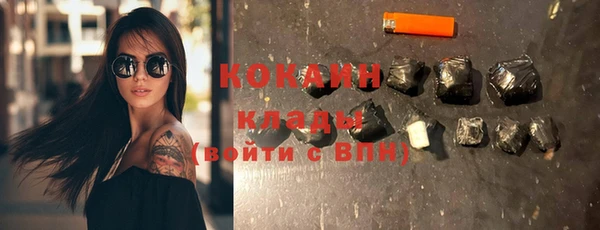 прущие грибы Елизово