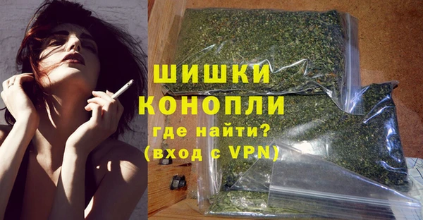 тгк Ельня