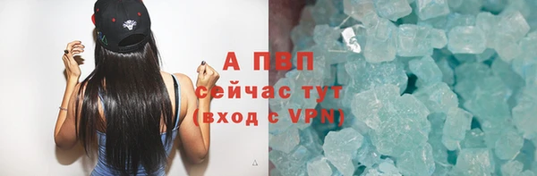 прущие грибы Елизово