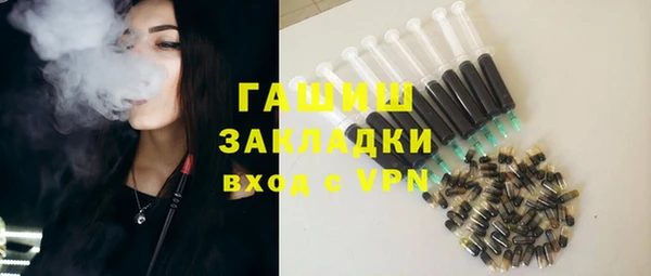 тгк Ельня