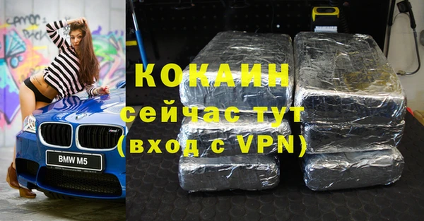 прущие грибы Елизово