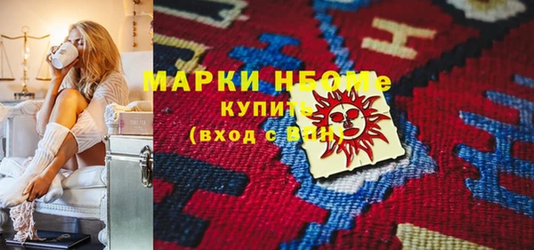прущие грибы Елизово