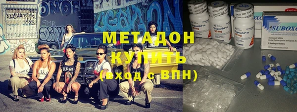 прущие грибы Елизово