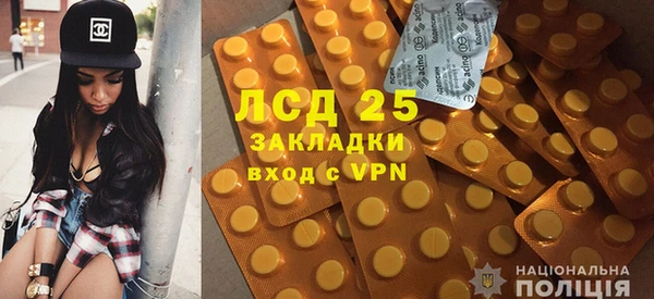 прущие грибы Елизово