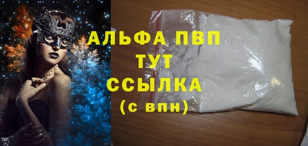 тгк Ельня
