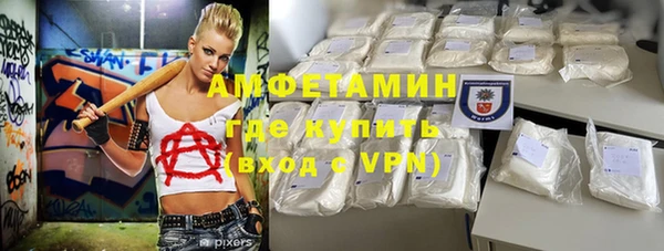 прущие грибы Елизово