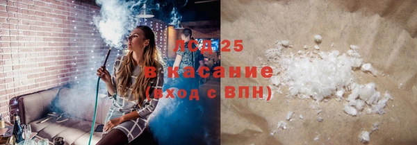 прущие грибы Елизово