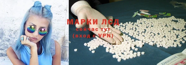 прущие грибы Елизово