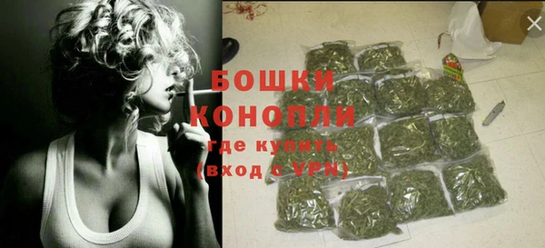 тгк Ельня