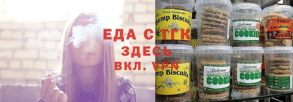 тгк Ельня