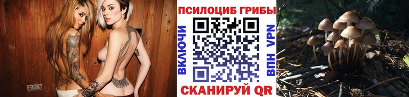 Купить где  Усть-Кут  Псилоцибиновые грибы мухоморы 